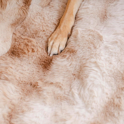 Fluffy Cosy Calming Pet Blanket Car Seat Protector Cover - Sure step