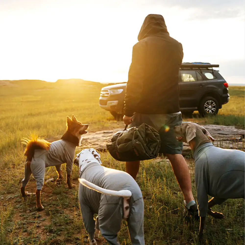 Outdoor Campsite Moisture-Proof And Waterproof Portable Dog Bed