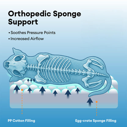 Waterproof Orthopaedic Removable Memory Foam Large Dog Bed